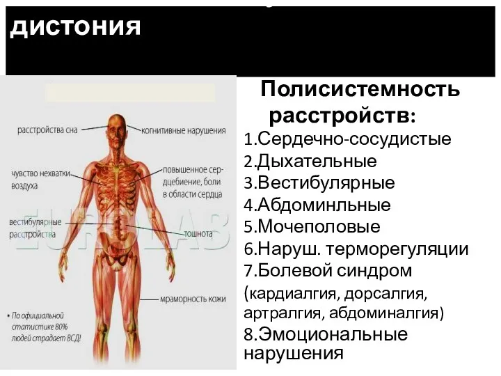 Полисистемность расстройств: 1.Сердечно-сосудистые 2.Дыхательные 3.Вестибулярные 4.Абдоминльные 5.Мочеполовые 6.Наруш. терморегуляции 7.Болевой