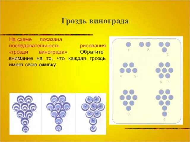 Гроздь винограда На схеме показана последовательность рисования «грозди винограда». Обратите