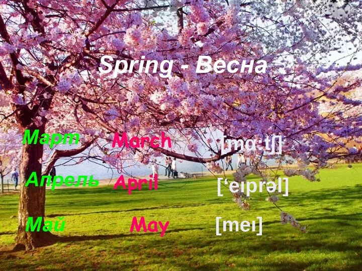 Spring - Весна May Март March Апрель April Май [meı] [mα:t∫] [‘eıprəl]