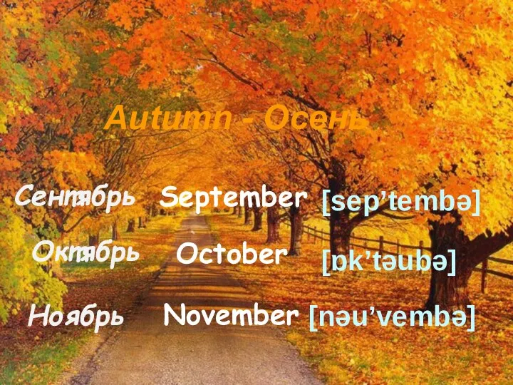 Autumn - Осень November Сентябрь September Октябрь October Ноябрь [nəu’vembə] [sep’tembə] [ɒk’təubə]