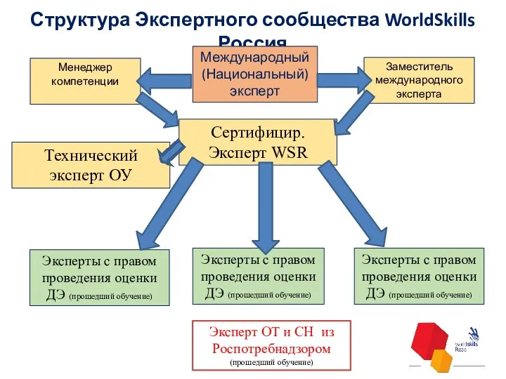 Структура Экспертного сообщества WorldSkills Россия Международный (Национальный) эксперт Менеджер компетенции Заместитель международного эксперта