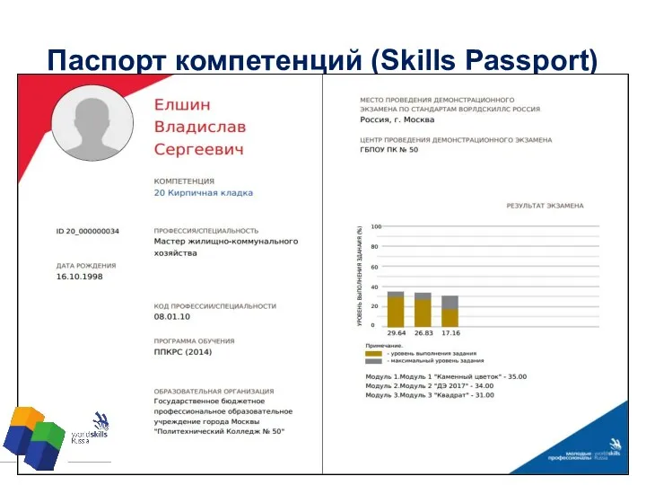 Паспорт компетенций (Skills Passport)