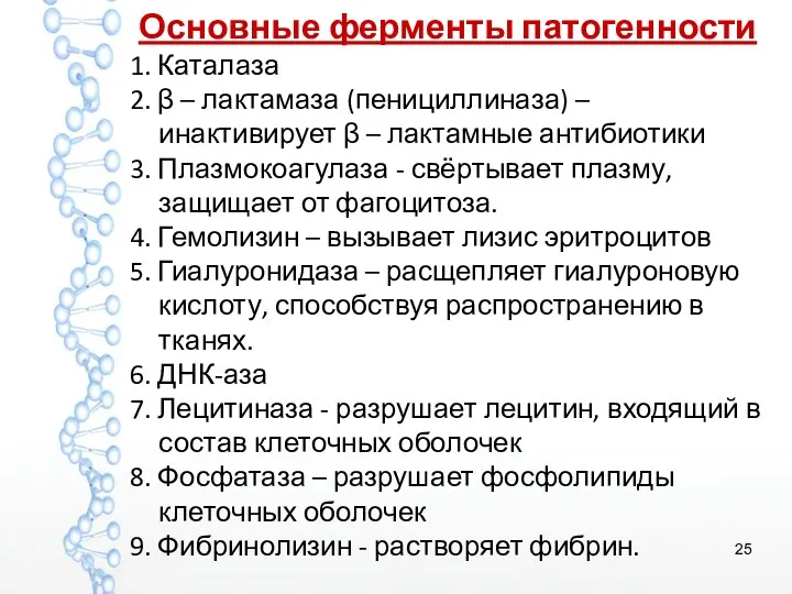 Основные ферменты патогенности 1. Каталаза 2. β – лактамаза (пенициллиназа)