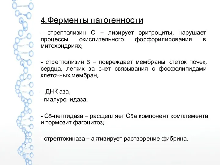 4.Ферменты патогенности - стрептолизин О – лизирует эритроциты, нарушает процессы