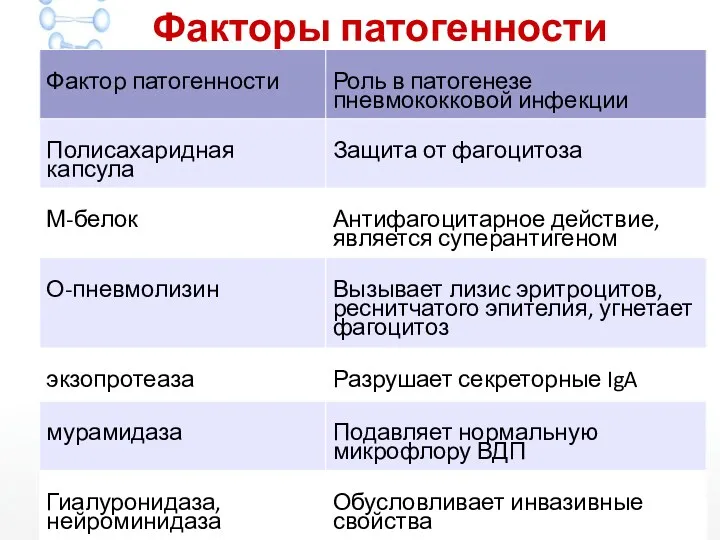 Факторы патогенности S.pneumoniae