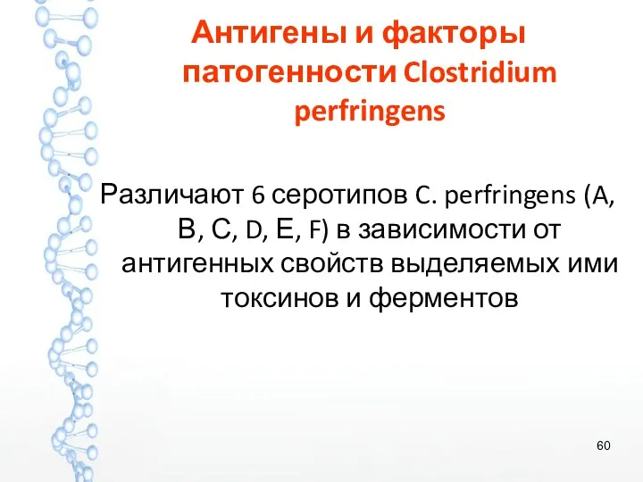 Антигены и факторы патогенности Clostridium perfringens Различают 6 серотипов C.