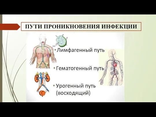 ПУТИ ПРОНИКНОВЕНИЯ ИНФЕКЦИИ