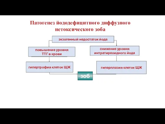 Патогенез йододефицитного диффузного нетоксического зоба повышение уровня ТТГ в крови