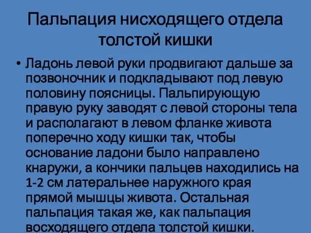 Пальпация нисходящего отдела толстой кишки Ладонь левой руки продвигают дальше