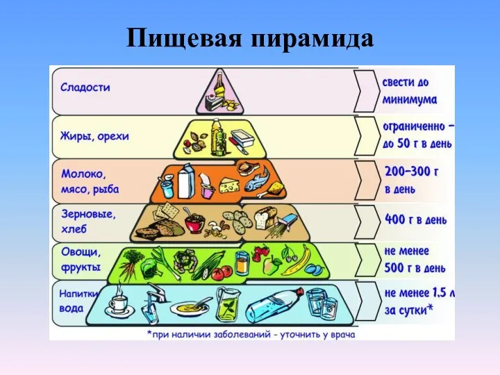 Пищевая пирамида