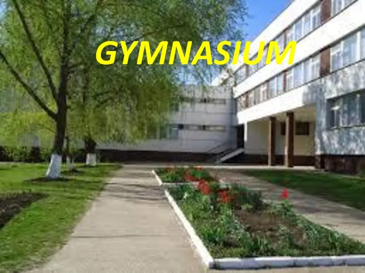 GYMNASIUM