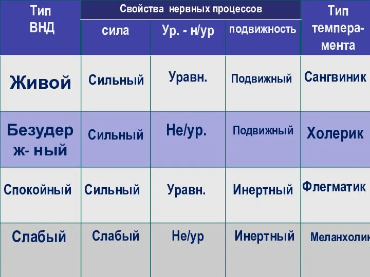 Живой Сильный Уравн. Подвижный Сангвиник Безудерж- ный Сильный Не/ур. Подвижный