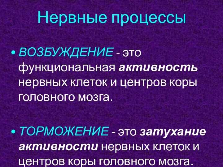 Нервные процессы ВОЗБУЖДЕНИЕ - это функциональная активность нервных клеток и