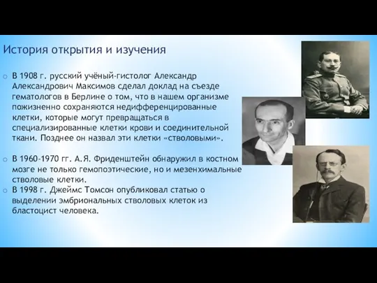 История открытия и изучения В 1908 г. русский учёный-гистолог Александр Александрович Максимов сделал