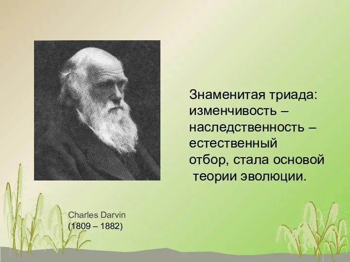 (1809 – 1882) Charles Darvin Знаменитая триада: изменчивость – наследственность – естественный отбор,