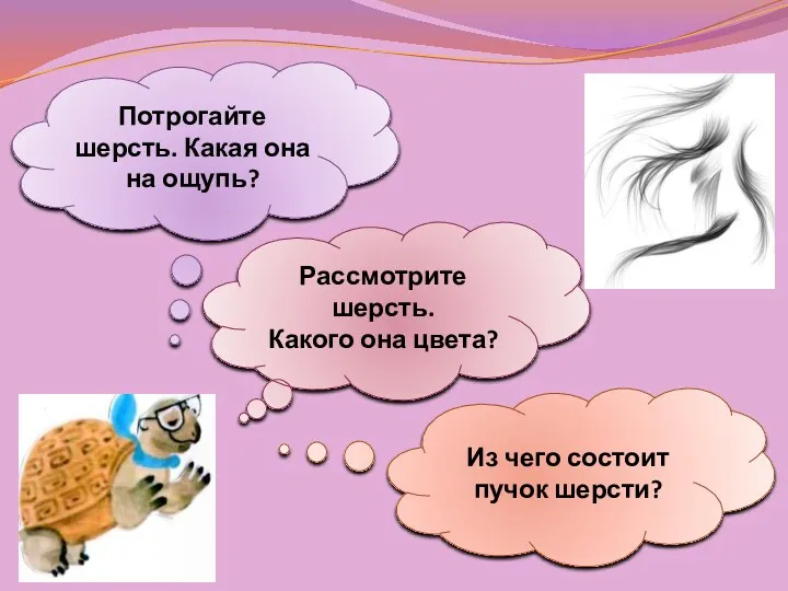 Потрогайте шерсть. Какая она на ощупь? Рассмотрите шерсть. Какого она цвета? Из чего состоит пучок шерсти?