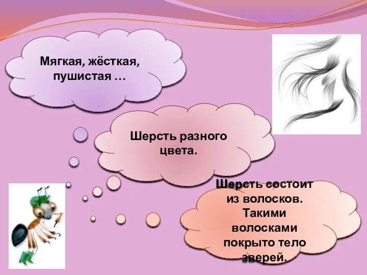 Мягкая, жёсткая, пушистая … Шерсть разного цвета. Шерсть состоит из волосков. Такими волосками покрыто тело зверей.