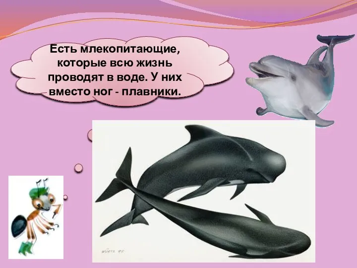 Есть млекопитающие, которые всю жизнь проводят в воде. У них вместо ног - плавники.