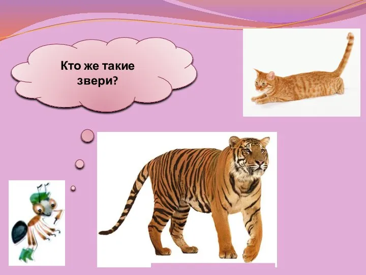 Кто же такие звери?