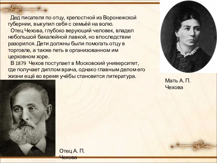 Мать А. П. Чехова Отец А. П. Чехова Дед писателя