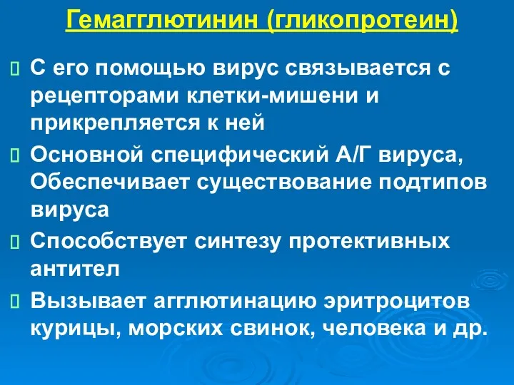 Гемагглютинин (гликопротеин) С его помощью вирус связывается с рецепторами клетки-мишени и прикрепляется к