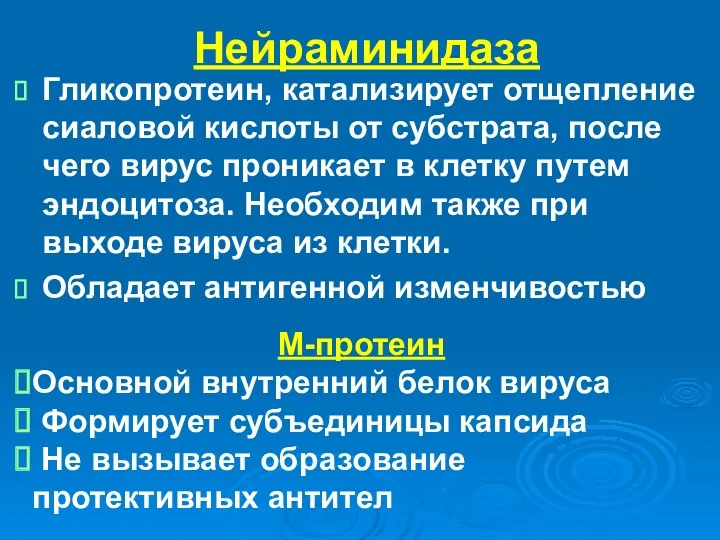 Нейраминидаза Гликопротеин, катализирует отщепление сиаловой кислоты от субстрата, после чего вирус проникает в