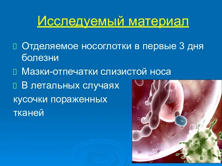 Исследуемый материал Отделяемое носоглотки в первые 3 дня болезни Мазки-отпечатки слизистой носа В