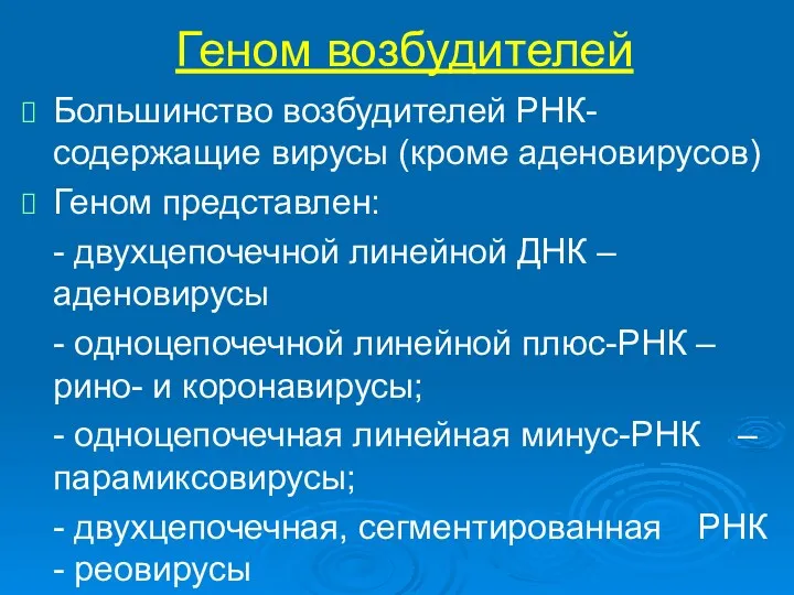 Геном возбудителей Большинство возбудителей РНК-содержащие вирусы (кроме аденовирусов) Геном представлен: - двухцепочечной линейной