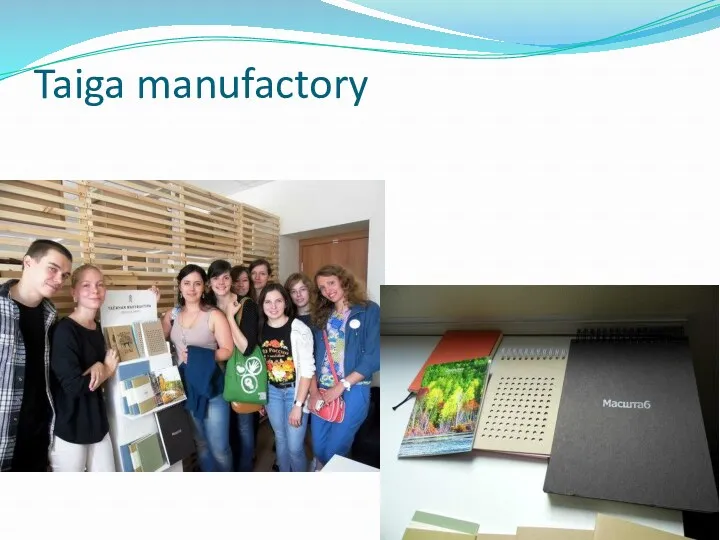 Taiga manufactory