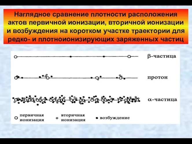 Наглядное сравнение плотности расположения актов первичной ионизации, вторичной ионизации и