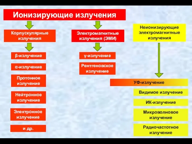 Ионизирующие излучения Корпускулярные излучения Электромагнитные излучения (ЭМИ) β-излучение α-излучение Протонное