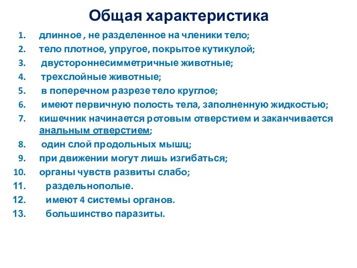 Общая характеристика длинное , не разделенное на членики тело; тело