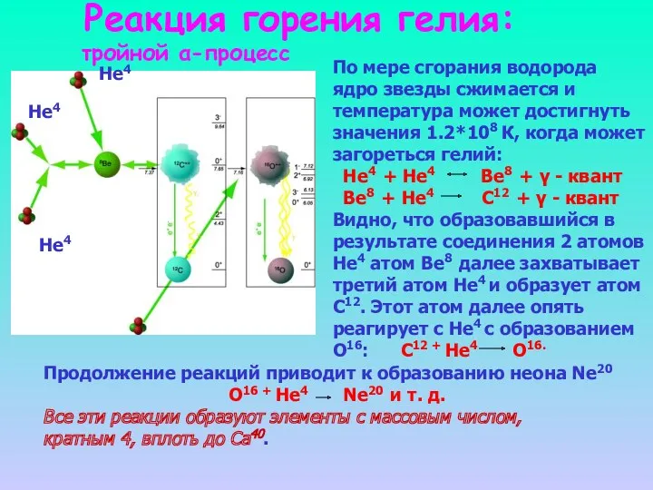 Реакция горения гелия: тройной α-процесс По мере сгорания водорода ядро