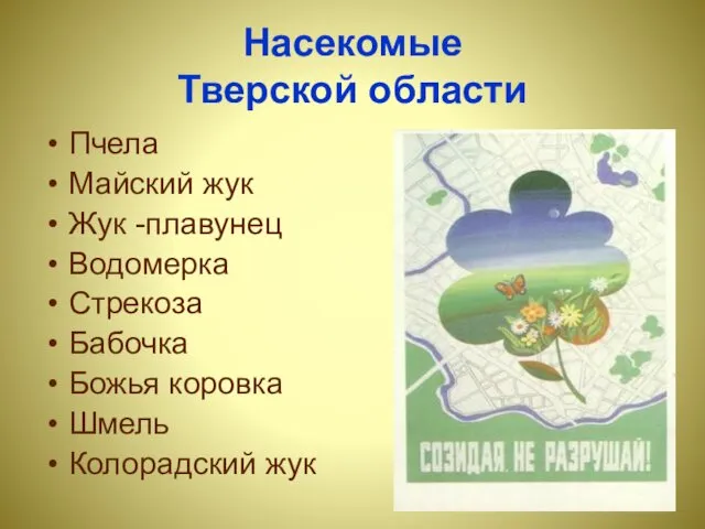 Насекомые Тверской области Пчела Майский жук Жук -плавунец Водомерка Стрекоза Бабочка Божья коровка Шмель Колорадский жук