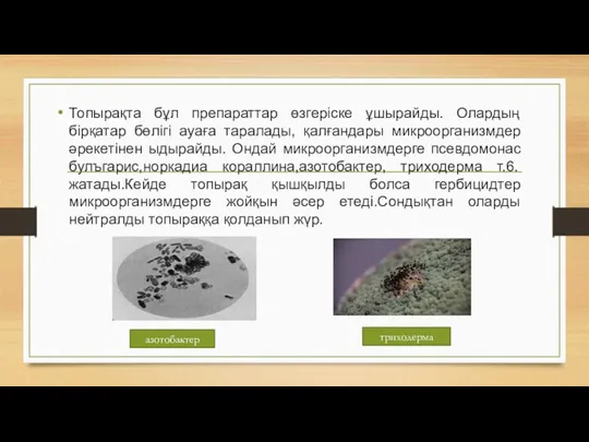 Топырақта бұл препараттар өзгеріске ұшырайды. Олардың бірқатар бөлігі ауаға таралады,