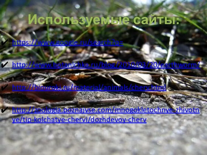 Используемые сайты: https://www.google.ru/search?q= http://www.botanichka.ru/blog/2010/03/20/earthworm/ http://biouroki.ru/material/animals/cherv.html http://zoologia.poznajvse.com/mnogokletochnye-zhivotnye/tip-kolchatye-chervi/dozhdevoy-cherv