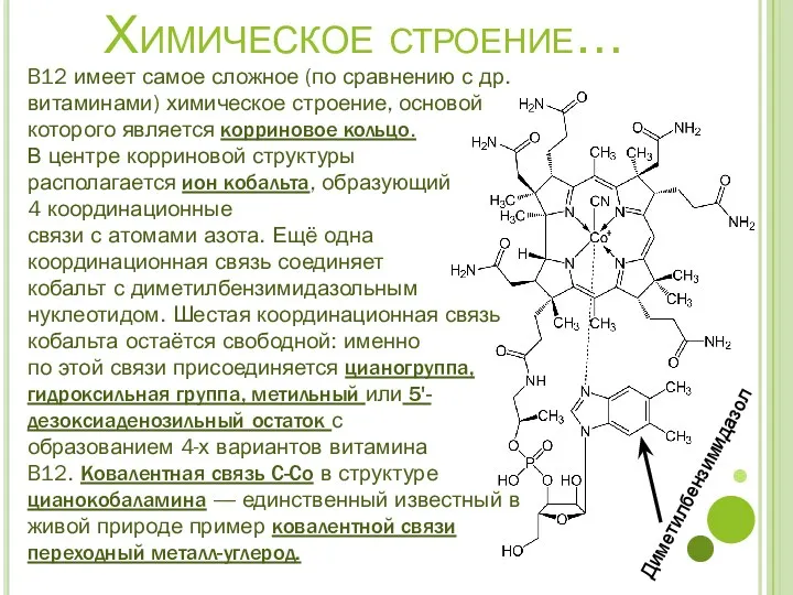 Химическое строение… B12 имеет самое сложное (по сравнению с др.