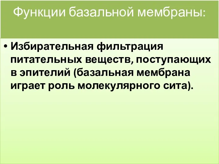 Функции базальной мембраны: Избирательная фильтрация питательных веществ, поступающих в эпителий (базальная мембрана играет роль молекулярного сита).