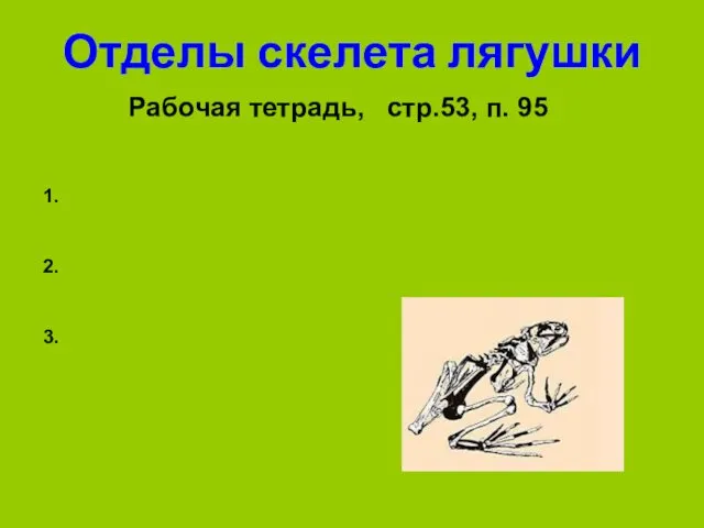Отделы скелета лягушки Рабочая тетрадь, стр.53, п. 95 1. 2. 3.