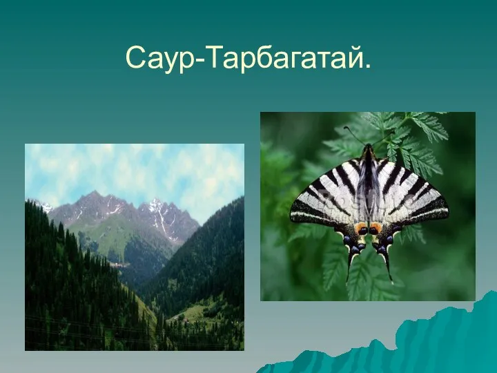 Саур-Тарбагатай.