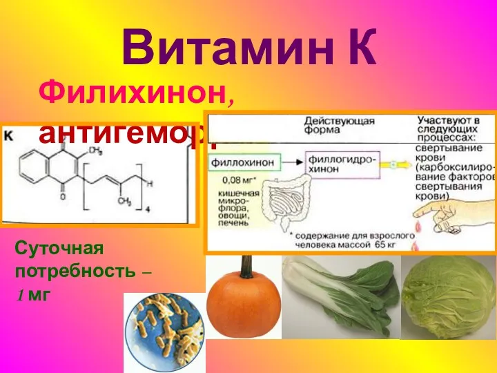 Витамин К Филихинон, антигеморрагический Суточная потребность – 1 мг
