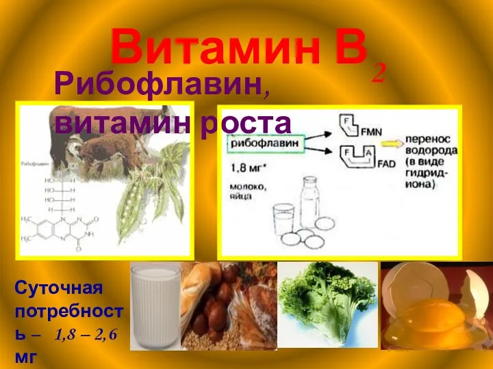 Витамин В2 Рибофлавин, витамин роста Суточная потребность – 1,8 – 2,6 мг