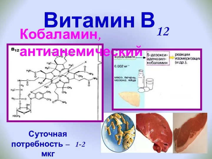 Витамин В12 Кобаламин, антианемический Суточная потребность – 1-2 мкг