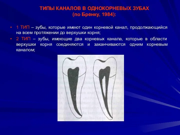 ТИПЫ КАНАЛОВ В ОДНОКОРНЕВЫХ ЗУБАХ (по Бренку, 1984): 1 ТИП – зубы, которые