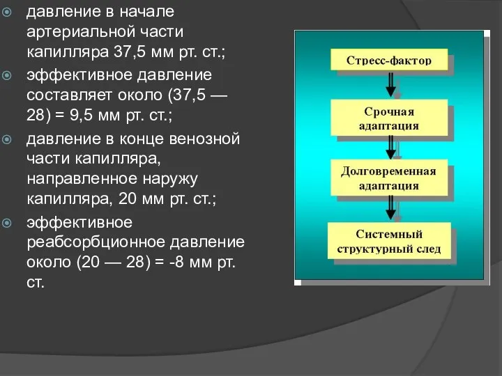 давление в начале артериальной части капилляра 37,5 мм рт. ст.; эффективное давление составляет