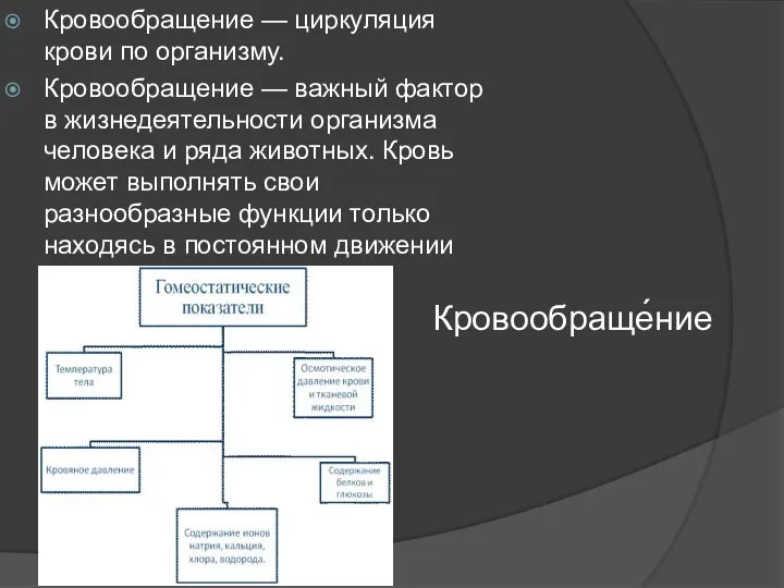 Кровообраще́ние Кровообращение — циркуляция крови по организму. Кровообращение — важный