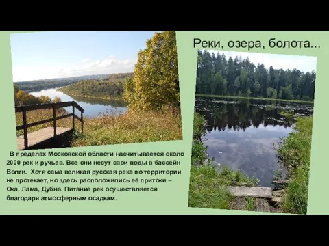 Реки, озера, болота... В пределах Московской области насчитывается около 2000 рек и ручьев.