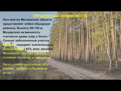 Мещерская низменность Юго-восток Московской области представляет собой обширную равнину. Высоты 90-130 м. Мещёрская