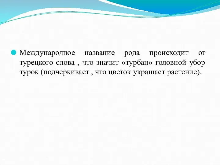 Международное название рода происходит от турецкого слова , что значит