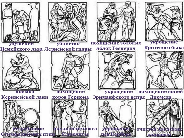 удушение Немейского льва убийство Лернейской гидры истребление Стимфалийских птиц поимка